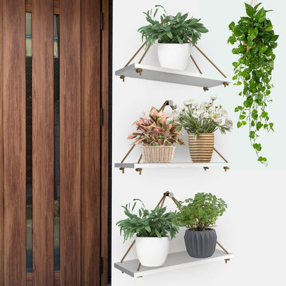 Wooden Wall Hanging Planter Shelf with Rope (White, Set of 3)